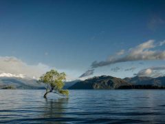 Photo by Jasper van der Meij