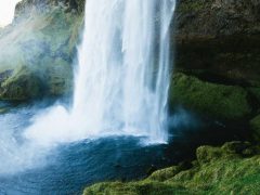 Photo by Jeff Sheldon