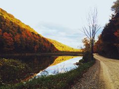 Photo by Sam Wheeler